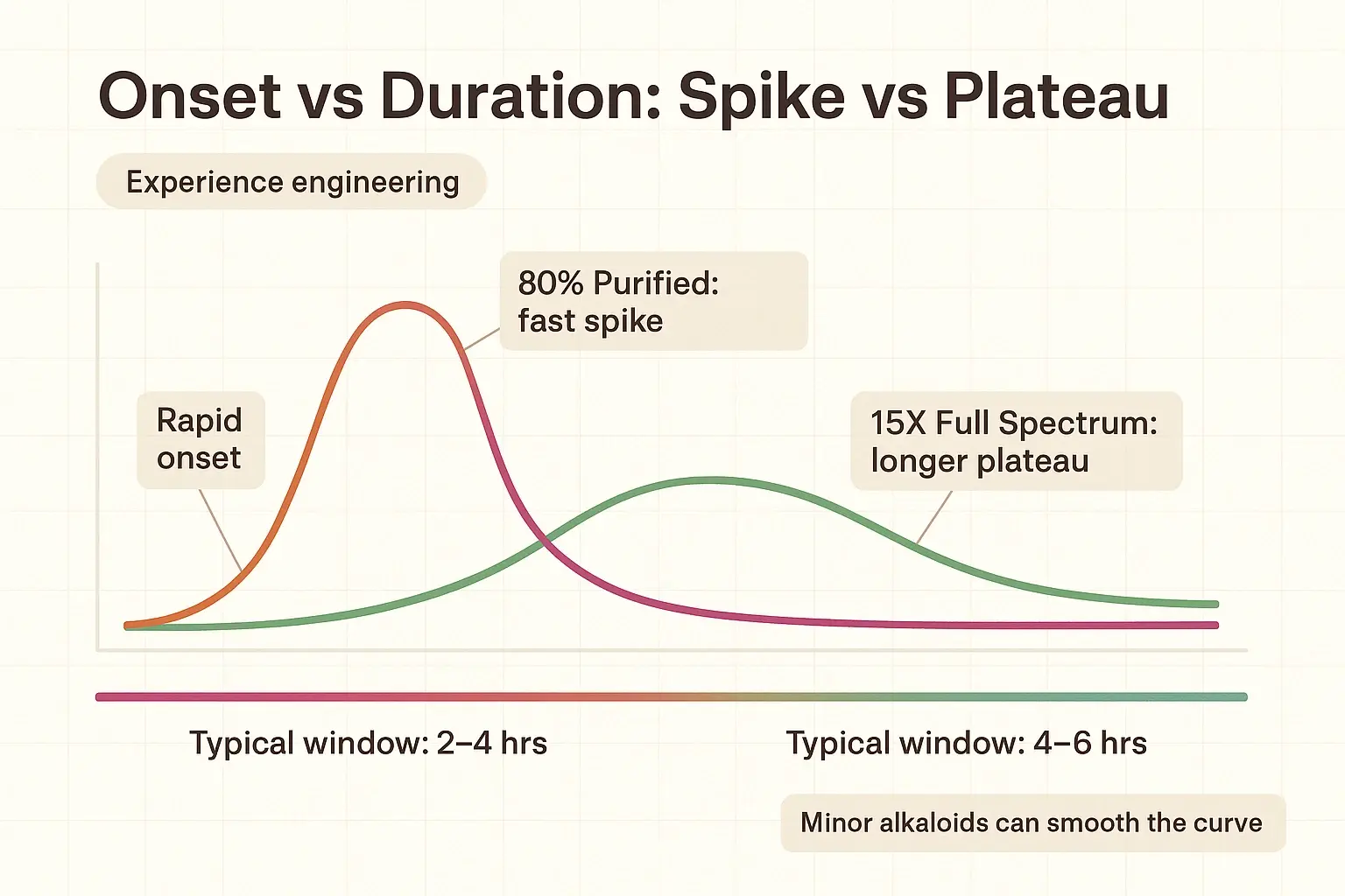 If timing matters, this visual helps: purified extracts often feel sharper and shorter, while full spectrum tends to feel steadier and longer-lasting for many users.